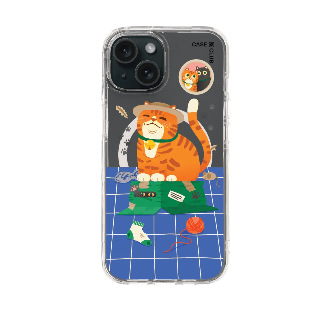 orange cat on the box
